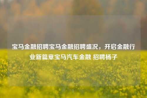 宝马金融招聘宝马金融招聘盛况，开启金融行业新篇章宝马汽车金融 招聘杨子