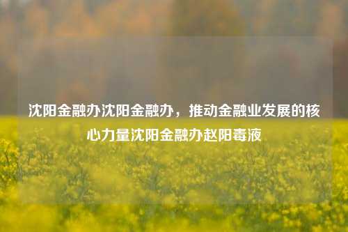 沈阳金融办沈阳金融办，推动金融业发展的核心力量沈阳金融办赵阳毒液