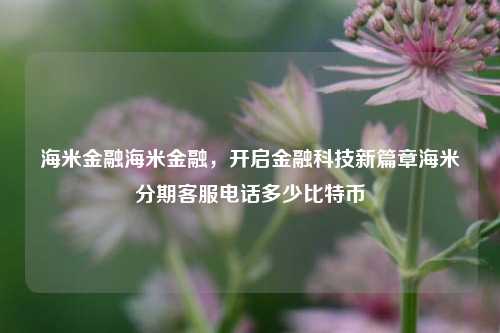 海米金融海米金融，开启金融科技新篇章海米分期客服电话多少比特币