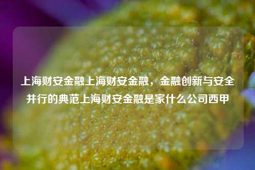 上海财安金融上海财安金融，金融创新与安全并行的典范上海财安金融是家什么公司西甲