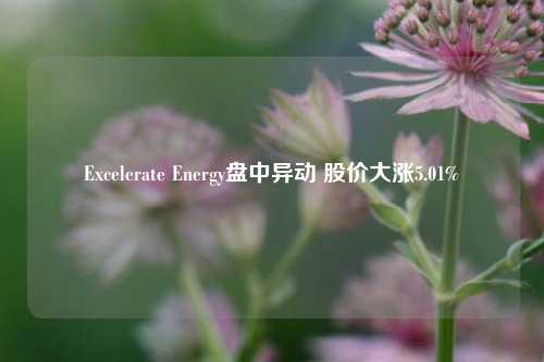 Excelerate Energy盘中异动 股价大涨5.01%