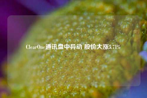 ClearOne通讯盘中异动 股价大涨5.71%