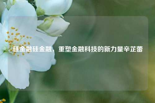 硅金融硅金融，重塑金融科技的新力量辛芷蕾