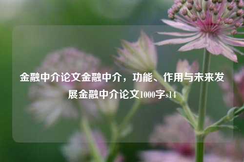 金融中介论文金融中介，功能、作用与未来发展金融中介论文1000字s14