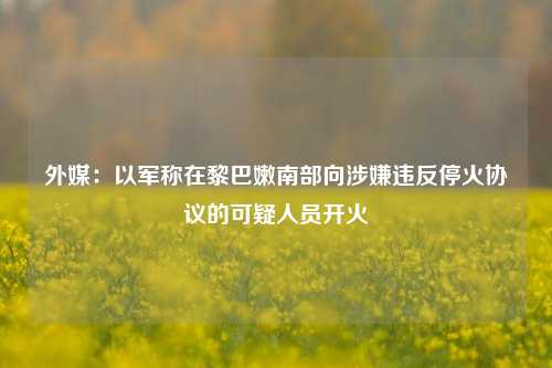 外媒：以军称在黎巴嫩南部向涉嫌违反停火协议的可疑人员开火