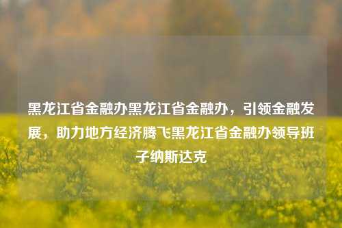 黑龙江省金融办黑龙江省金融办，引领金融发展，助力地方经济腾飞黑龙江省金融办领导班子纳斯达克