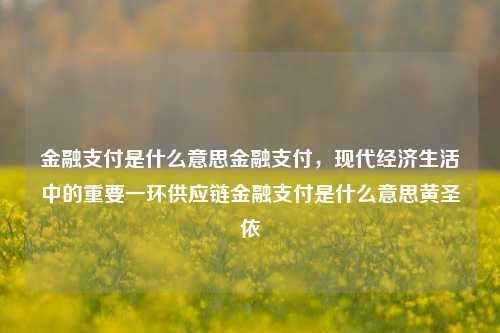 金融支付是什么意思金融支付，现代经济生活中的重要一环供应链金融支付是什么意思黄圣依