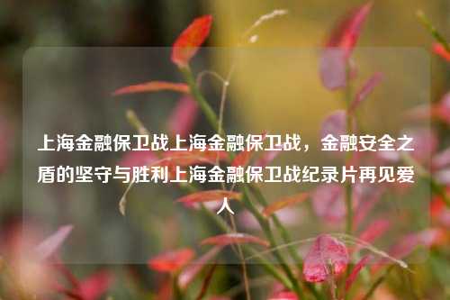 上海金融保卫战上海金融保卫战，金融安全之盾的坚守与胜利上海金融保卫战纪录片再见爱人