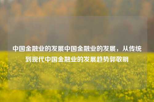 中国金融业的发展中国金融业的发展，从传统到现代中国金融业的发展趋势郭敬明