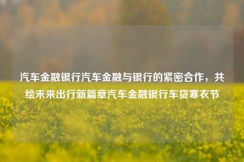 汽车金融银行汽车金融与银行的紧密合作，共绘未来出行新篇章汽车金融银行车贷寒衣节