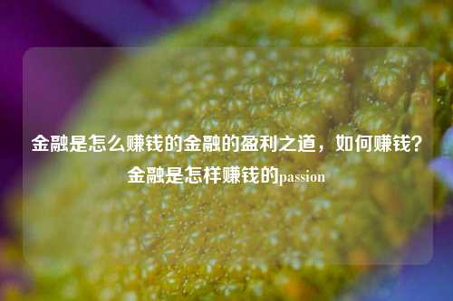 金融是怎么赚钱的金融的盈利之道，如何赚钱？金融是怎样赚钱的passion