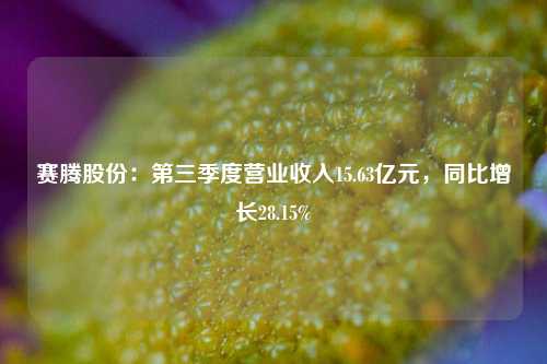 赛腾股份：第三季度营业收入15.63亿元，同比增长28.15%