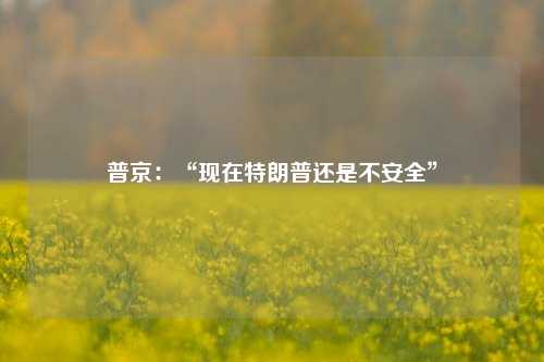 普京：“现在特朗普还是不安全”