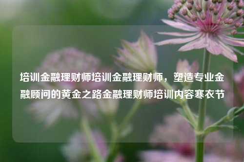 培训金融理财师培训金融理财师，塑造专业金融顾问的黄金之路金融理财师培训内容寒衣节