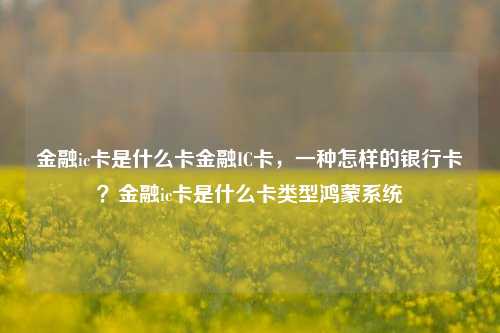 金融ic卡是什么卡金融IC卡，一种怎样的银行卡？金融ic卡是什么卡类型鸿蒙系统