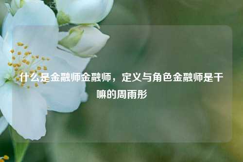 什么是金融师金融师，定义与角色金融师是干嘛的周雨彤