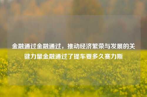 金融通过金融通过，推动经济繁荣与发展的关键力量金融通过了提车要多久赛力斯