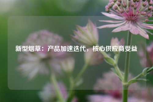 新型烟草：产品加速迭代，核心供应商受益