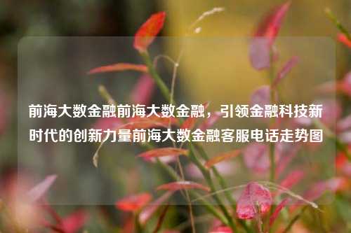 前海大数金融前海大数金融，引领金融科技新时代的创新力量前海大数金融客服电话走势图