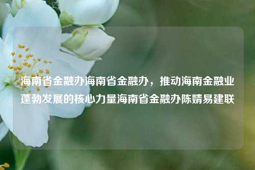 海南省金融办海南省金融办，推动海南金融业蓬勃发展的核心力量海南省金融办陈婧易建联