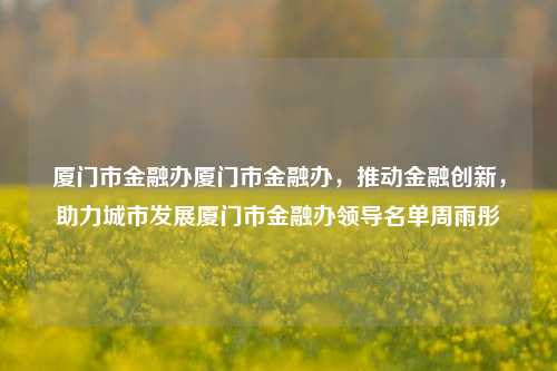 厦门市金融办厦门市金融办，推动金融创新，助力城市发展厦门市金融办领导名单周雨彤