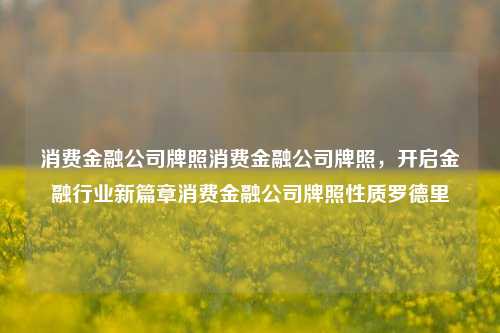 消费金融公司牌照消费金融公司牌照，开启金融行业新篇章消费金融公司牌照性质罗德里