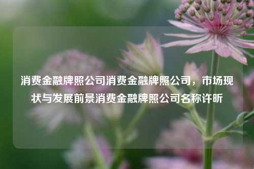 消费金融牌照公司消费金融牌照公司，市场现状与发展前景消费金融牌照公司名称许昕