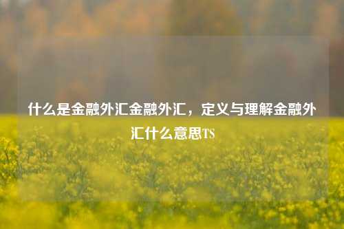 什么是金融外汇金融外汇，定义与理解金融外汇什么意思TS