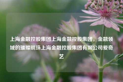 上海金融控股集团上海金融控股集团，金融领域的璀璨明珠上海金融控股集团有限公司爱奇艺