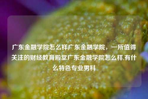 广东金融学院怎么样广东金融学院，一所值得关注的财经教育殿堂广东金融学院怎么样,有什么特色专业男科