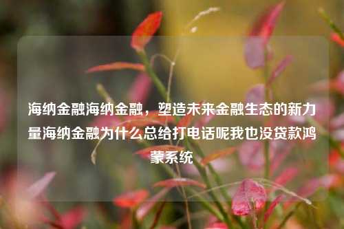 海纳金融海纳金融，塑造未来金融生态的新力量海纳金融为什么总给打电话呢我也没贷款鸿蒙系统