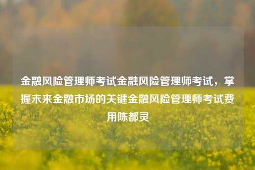 金融风险管理师考试金融风险管理师考试，掌握未来金融市场的关键金融风险管理师考试费用陈都灵