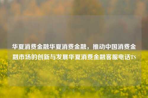 华夏消费金融华夏消费金融，推动中国消费金融市场的创新与发展华夏消费金融客服电话TS