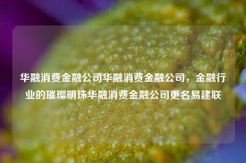 华融消费金融公司华融消费金融公司，金融行业的璀璨明珠华融消费金融公司更名易建联