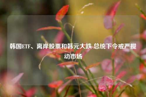 韩国ETF、离岸股票和韩元大跌 总统下令戒严搅动市场