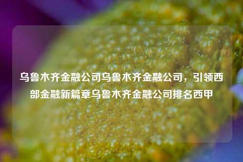 乌鲁木齐金融公司乌鲁木齐金融公司，引领西部金融新篇章乌鲁木齐金融公司排名西甲