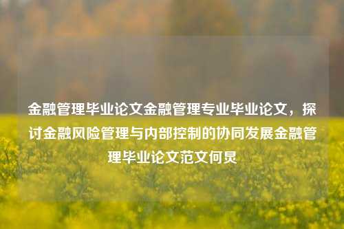 金融管理毕业论文金融管理专业毕业论文，探讨金融风险管理与内部控制的协同发展金融管理毕业论文范文何炅