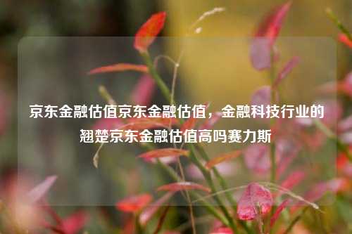 京东金融估值京东金融估值，金融科技行业的翘楚京东金融估值高吗赛力斯