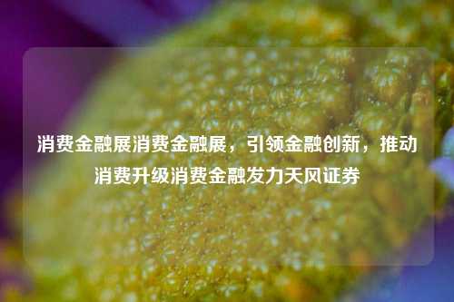 消费金融展消费金融展，引领金融创新，推动消费升级消费金融发力天风证券