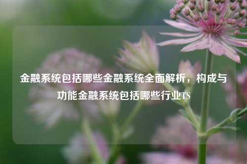 金融系统包括哪些金融系统全面解析，构成与功能金融系统包括哪些行业TS