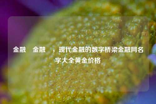 金融網金融網，现代金融的数字桥梁金融网名字大全黄金价格