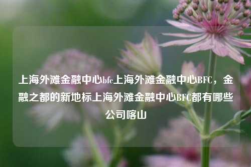 上海外滩金融中心bfc上海外滩金融中心BFC，金融之都的新地标上海外滩金融中心BFC都有哪些公司喀山