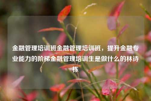 金融管理培训班金融管理培训班，提升金融专业能力的阶梯金融管理培训生是做什么的林诗栋