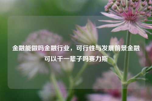 金融能做吗金融行业，可行性与发展前景金融可以干一辈子吗赛力斯