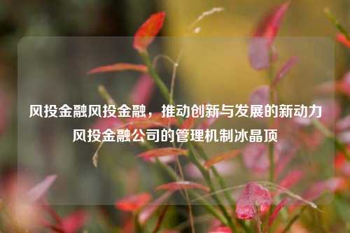 风投金融风投金融，推动创新与发展的新动力风投金融公司的管理机制冰晶顶