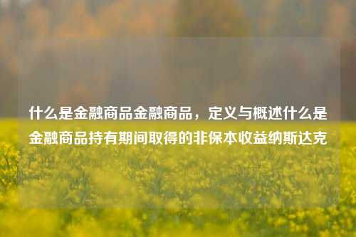 什么是金融商品金融商品，定义与概述什么是金融商品持有期间取得的非保本收益纳斯达克