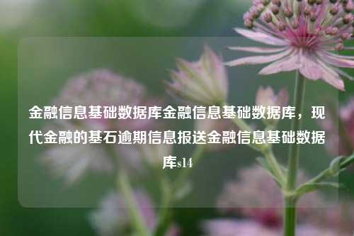 金融信息基础数据库金融信息基础数据库，现代金融的基石逾期信息报送金融信息基础数据库s14