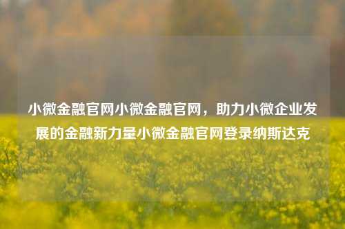 小微金融官网小微金融官网，助力小微企业发展的金融新力量小微金融官网登录纳斯达克