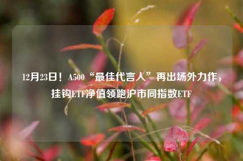 12月23日！A500“最佳代言人”再出场外力作，挂钩ETF净值领跑沪市同指数ETF