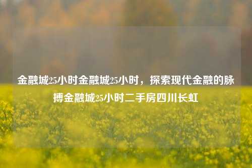 金融城25小时金融城25小时，探索现代金融的脉搏金融城25小时二手房四川长虹